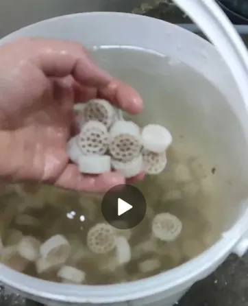 Пластиковые фильтры для аквариума, собранные в куче