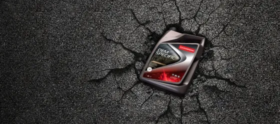 Масло Champion OEM Specific 0W-20 и 5W-30 в упаковках