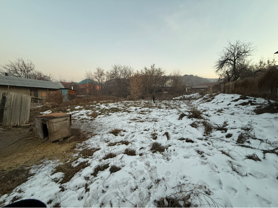 Қармен толтырылған учаске мен ағаштар көрінісі