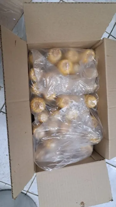 упаковка с кукурузой в пленке