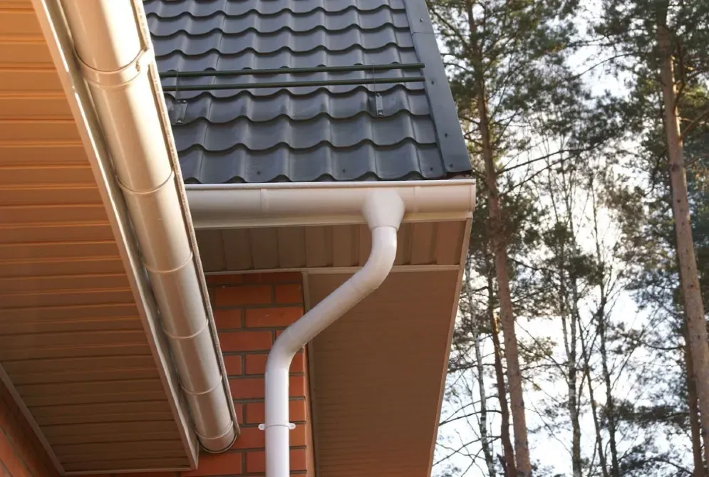 Орманды аймақтағы үйдегі жаңбыр суын ағызу жүйесі