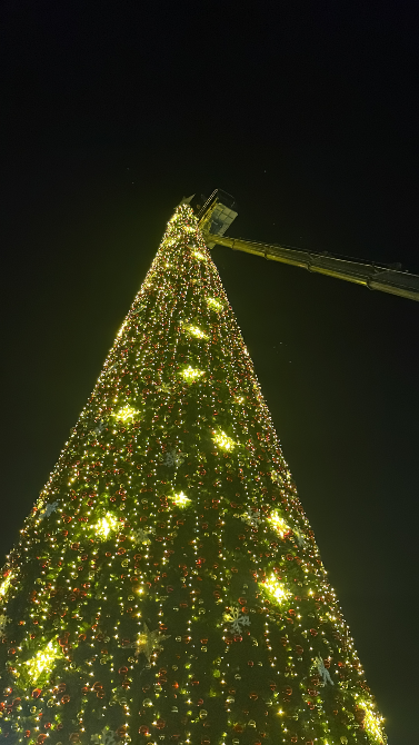 Праздничное новогоднее дерево, освещенное гирляндами, с автоподъемником