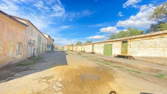 Өнеркәсіптік аймақ, тасталған ғимараттар және өсімдіктер