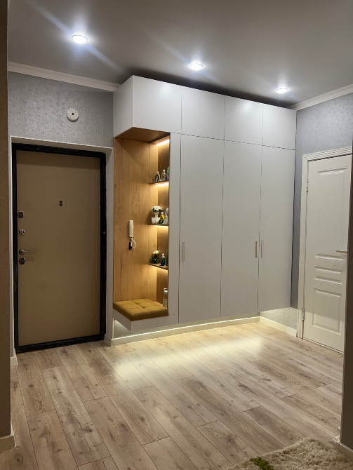 Кіру алаңы шкаф пен телефон аппаратына арналған аймақпен