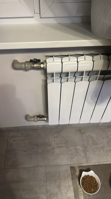 Радиатор отопления на плиточном полу с миской для пищи