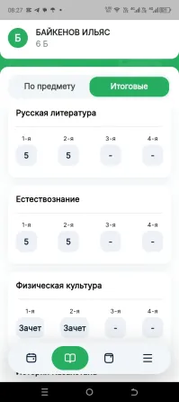Рейтинг успеваемости ученика по предметам, включая русский язык, литературу, естествознание, физическую культуру, математику и информатику