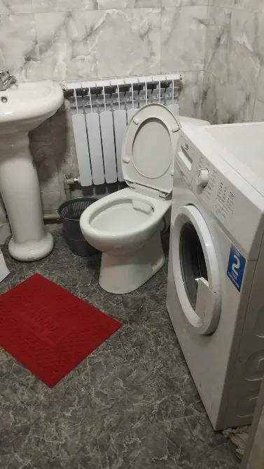 Ванная комната с умывальником, унитазом и стиральной машиной