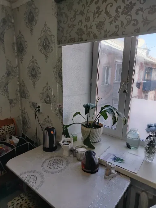 Кухонный стол с растением у окна