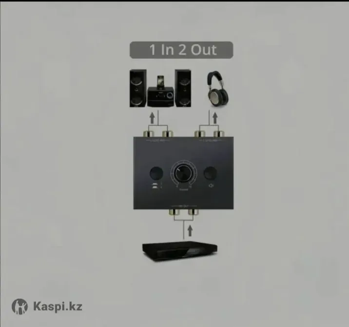 Схема подключения с 1 входом и 2 выходами, наушники и колонки