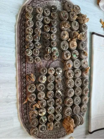 Скопление металлических дисков, расположенных в вертикальном порядке и обернутых тканью