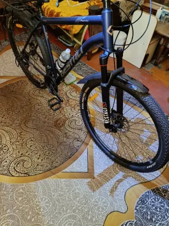 Велосипед на ковре с узором в интерьере комнаты