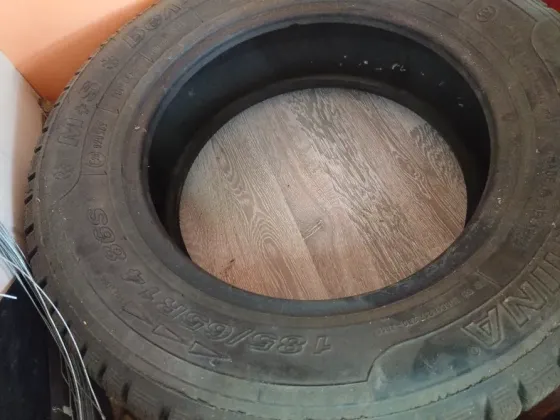 Деревянда едендегі шина