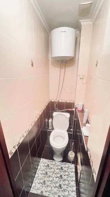 Уютный туалет с санузлом