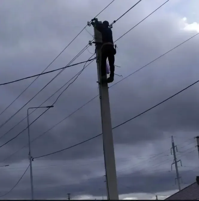 Работник на электроопоре, проводящий технические работы
