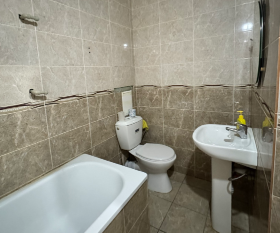 Заманауи пәтер интерьері: асхана, диван, теледидар