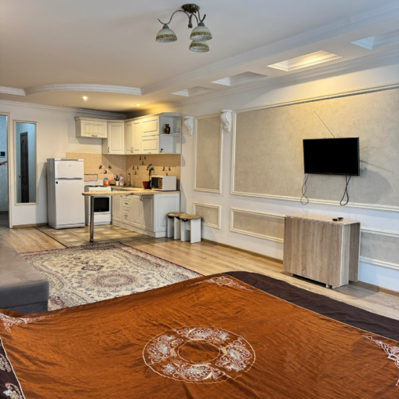 Заманауи пәтер интерьері: асхана, диван, теледидар