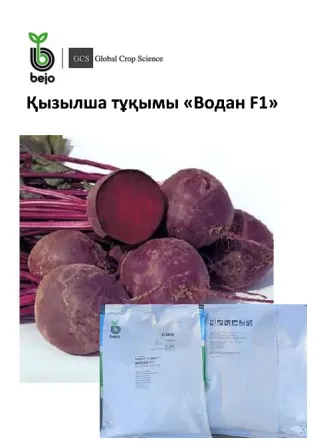 Қызыл қызылша сорттары 