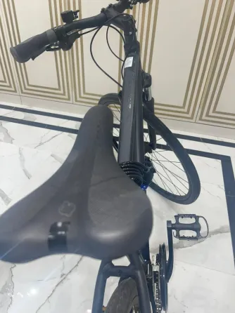 Велосипед на фоне леса, освещенный солнечными лучами