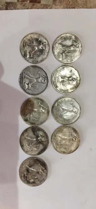 Монеты на фотографии, размещенные в ряд