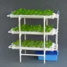 PVC құбырларында сауда салаттарын өсіруге арналған гидропонды жүйе, өсімдіктер үшін көп деңгейлі кеңістікті босату мүмкіндігімен.