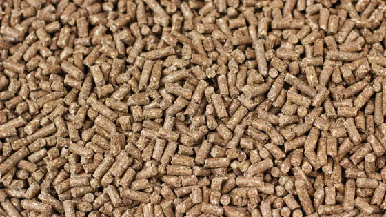 люцернадан пеллеттер