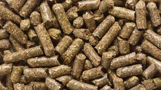 люцернадан пеллеттер