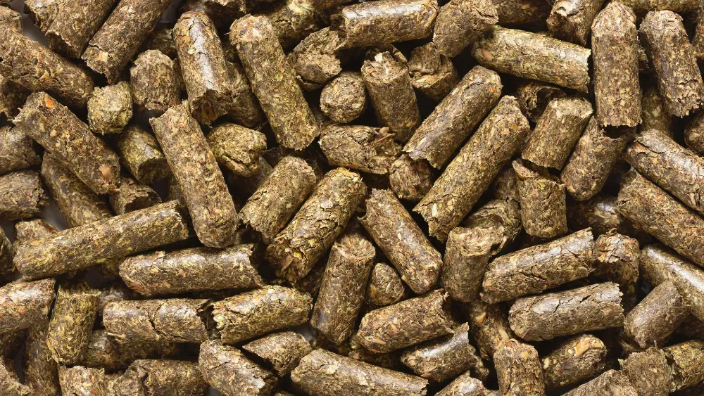 пеллеты из кормовых трав