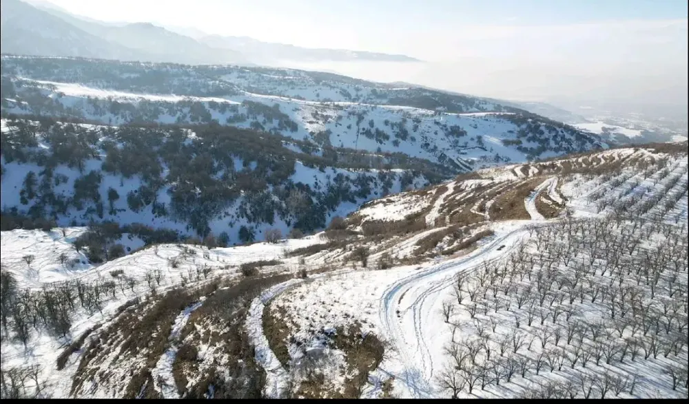 Ландшафт с дорожками и деревьями в снежном покрове