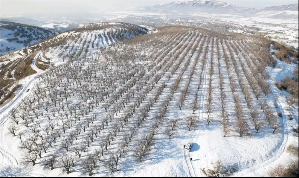 Аэроснимок заснеженных деревьев и холмов