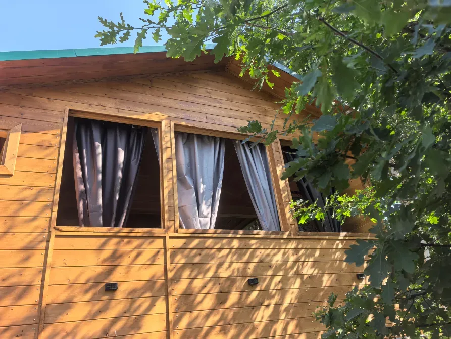 внешний вид дома с зелеными растениями вокруг