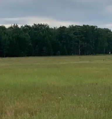 Карта с указанием местоположения в районе Шученк