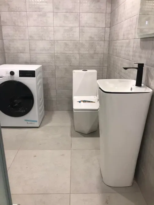 Современная ванная комната с туалетом и стиральной машиной