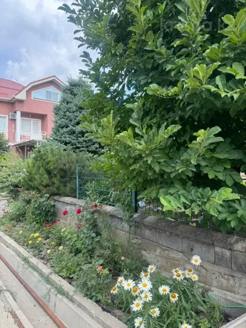 Гүлдер мен бұталармен безендірілген бақ, үйдің фонында