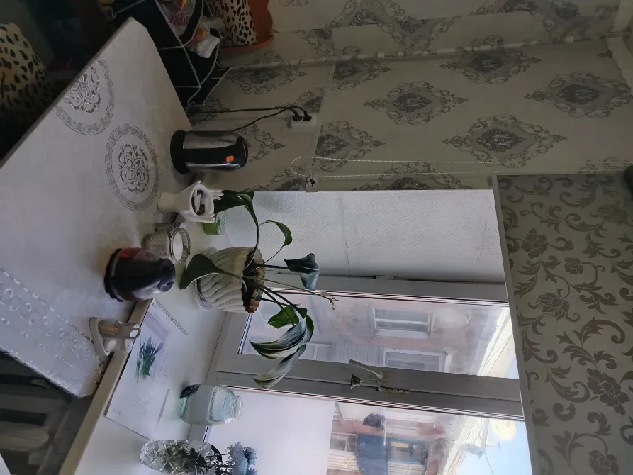 Шайник пен терезедегі өсімдіктері бар асүй үстелі