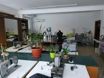 Тігін машиналары мен жабдықтары, үстелде өсімдіктер бар шеберхана