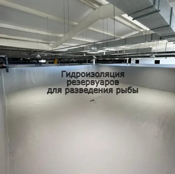 Әртүрлі дизайн мен пішіндегі бассейндер