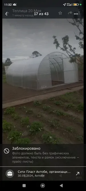 Теплица на грядках