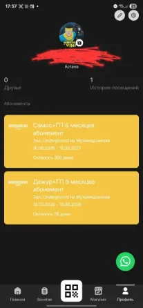 Экран приложения с профилем пользователя, отображающий активные абонменты на услуги, включая информацию о сроках действия