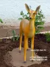 Тірі бұғы бөтен жерде