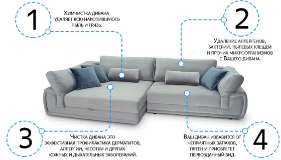 Выездная химчистка от Karcher