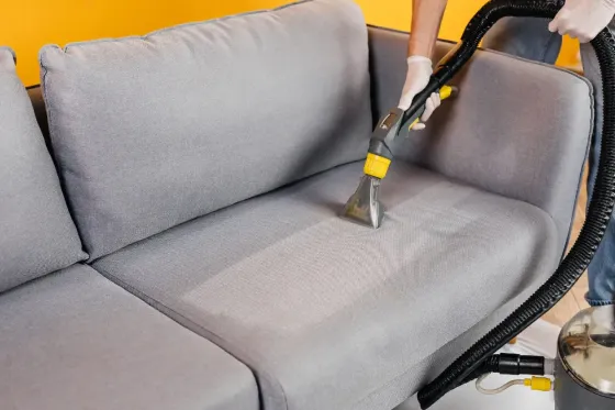Выездная химчистка от Karcher