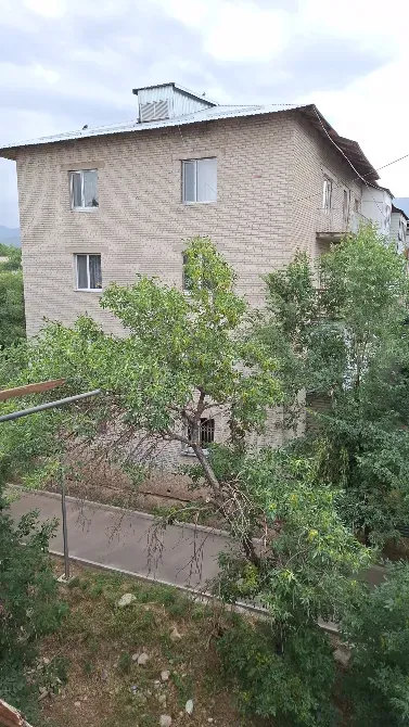 Вид на жилой дом за зелеными деревьями