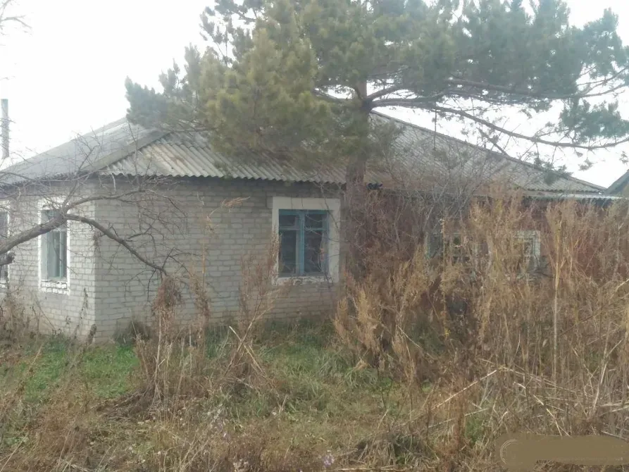 вид на дом, окруженный высокой травой и деревьями