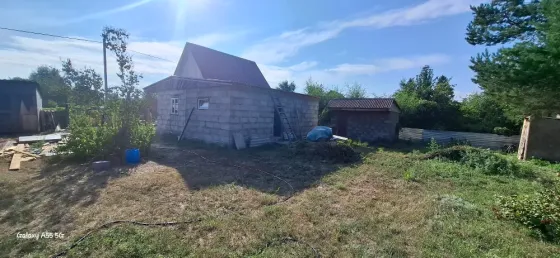 Сельский участок с домом и зелеными насаждениями на фоне ясного неба