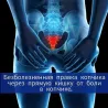Анатомиялық иллюстрация төменгі арқа омыртқасының, копчиктегі және тік ішектегі ауырсыну себептерін көрсететін.