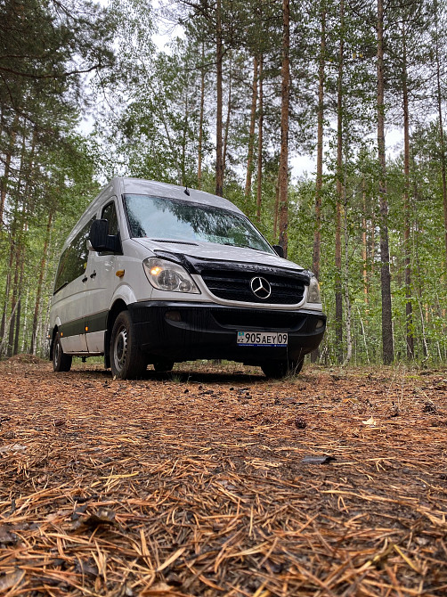 Фургон Mercedes в лесной местности среди сосен