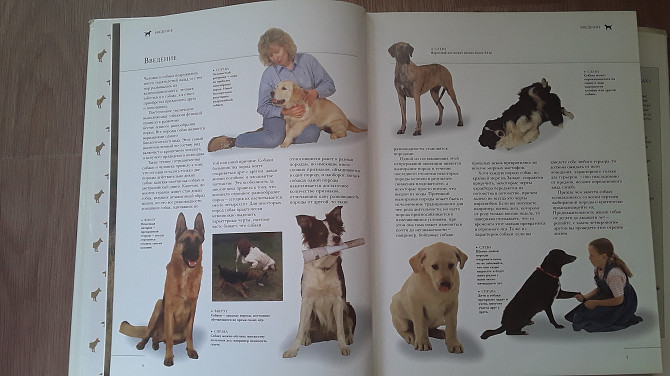 Продам большую энциклопедию для собак и с/х животных Усть-Каменогорск - изображение 2